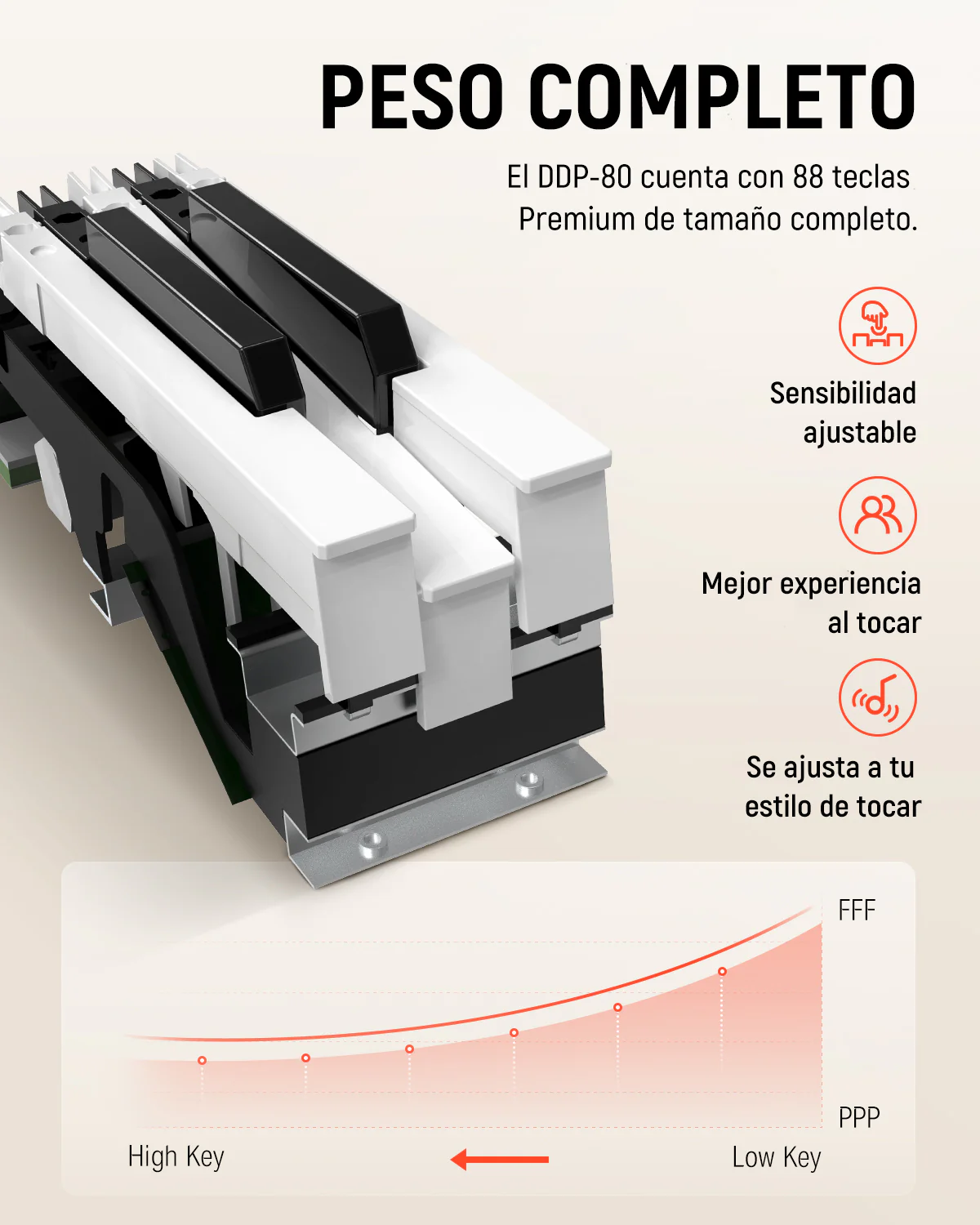 Miniatura 13