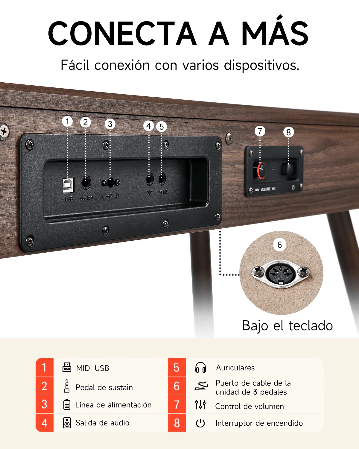 Miniatura 9