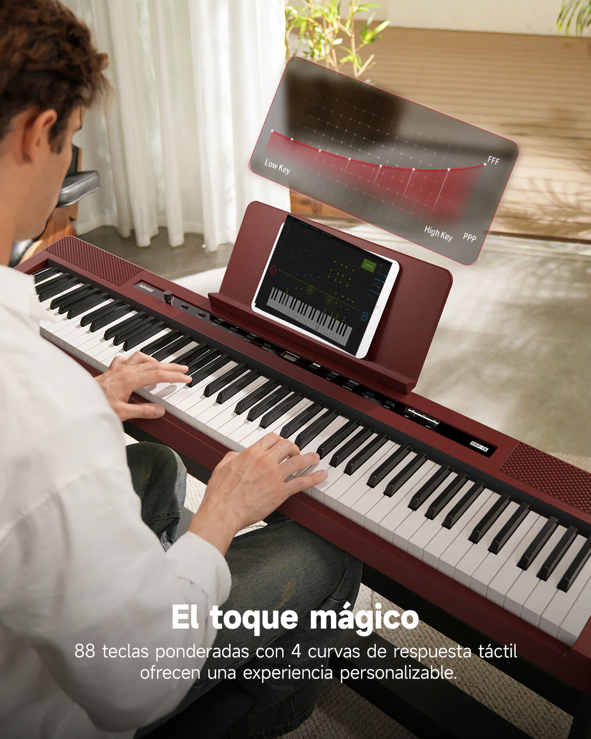 Miniatura 13