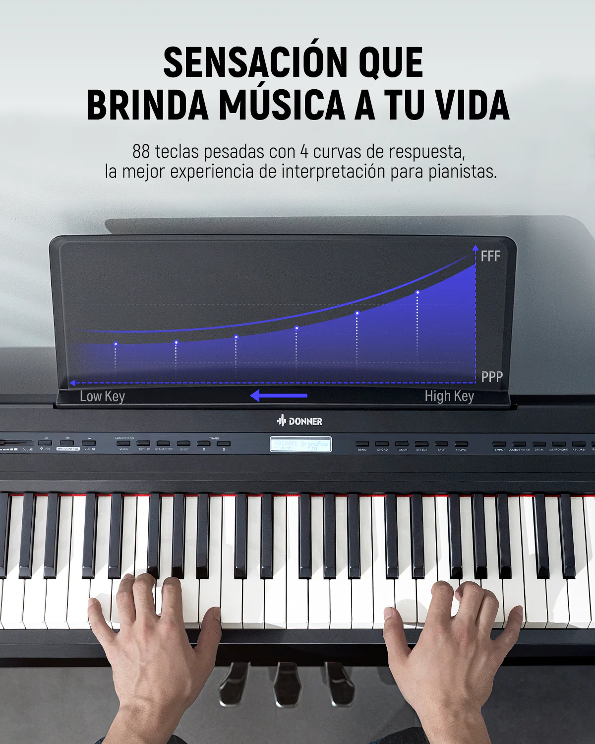Miniatura 13