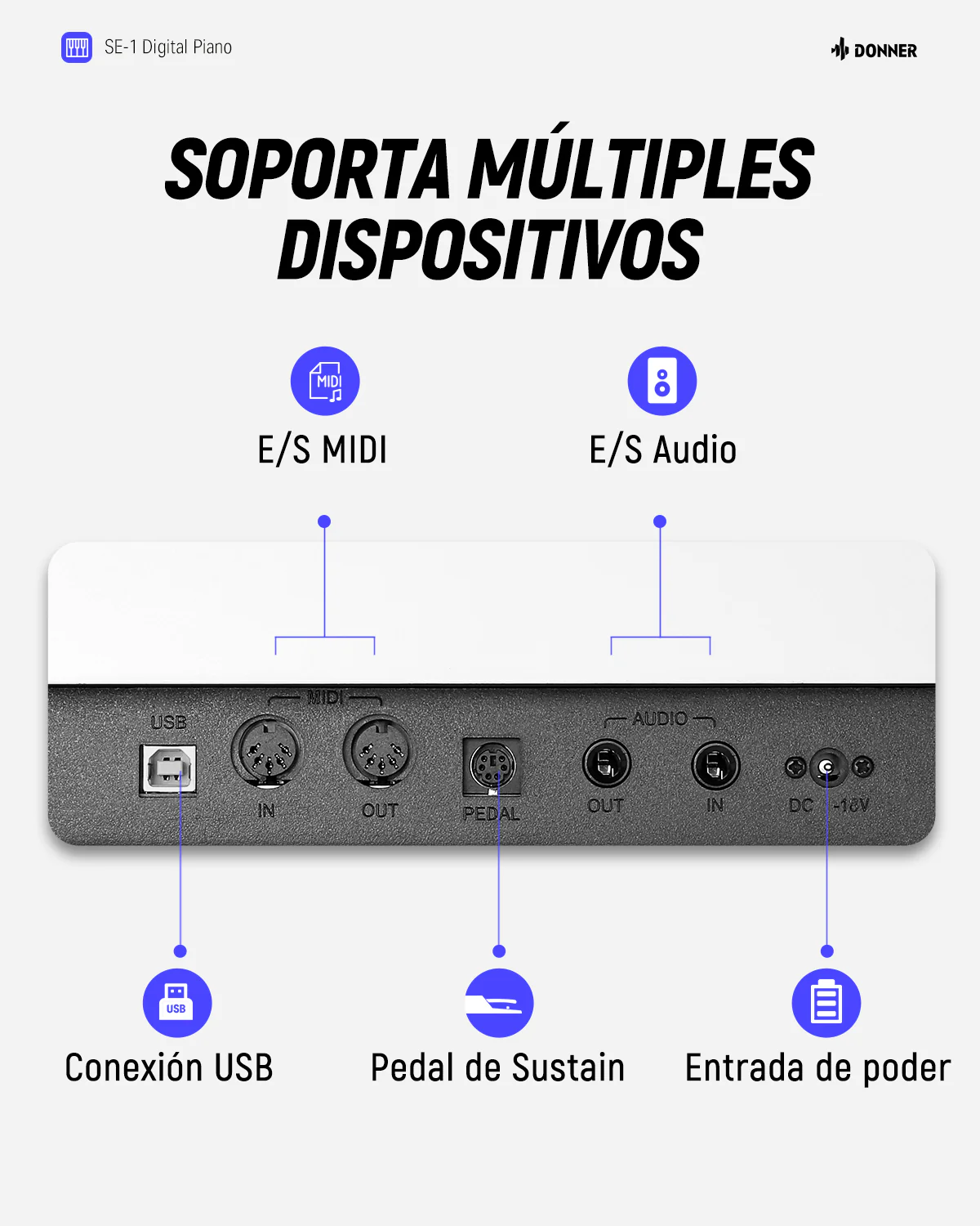 Miniatura 22