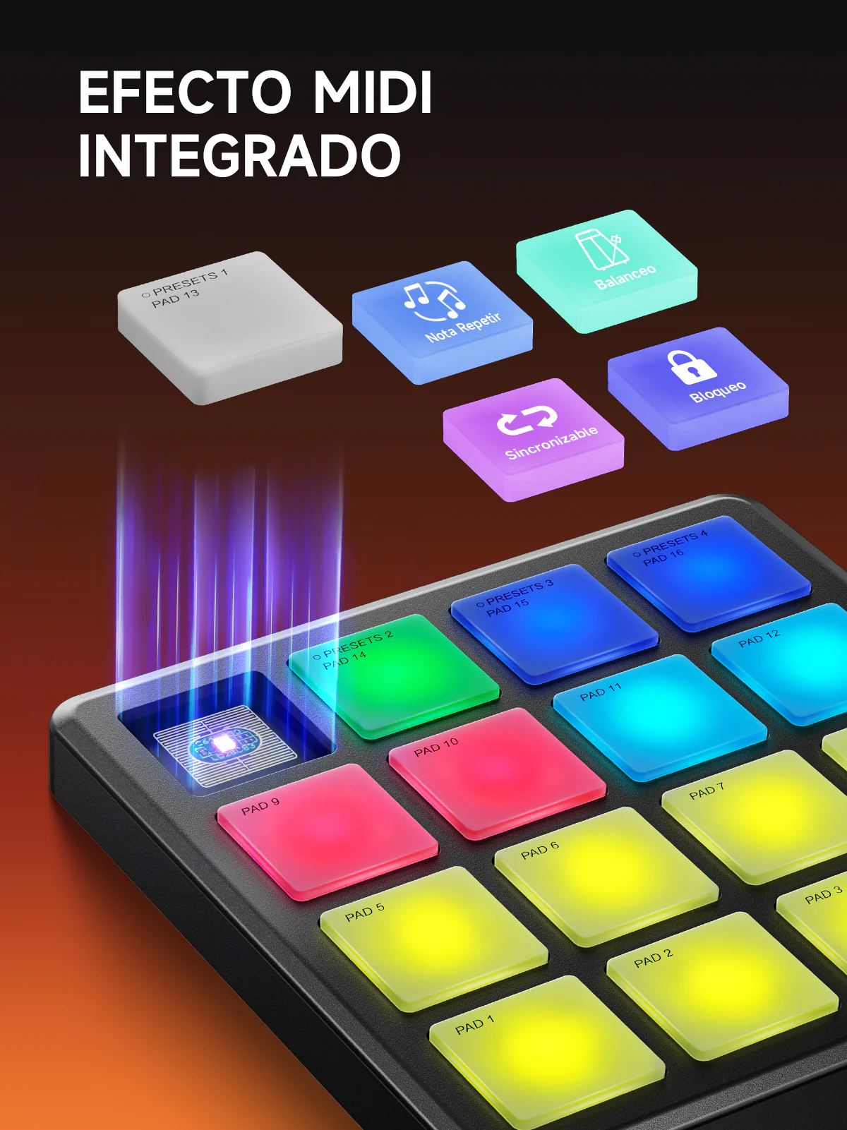 Miniatura 8